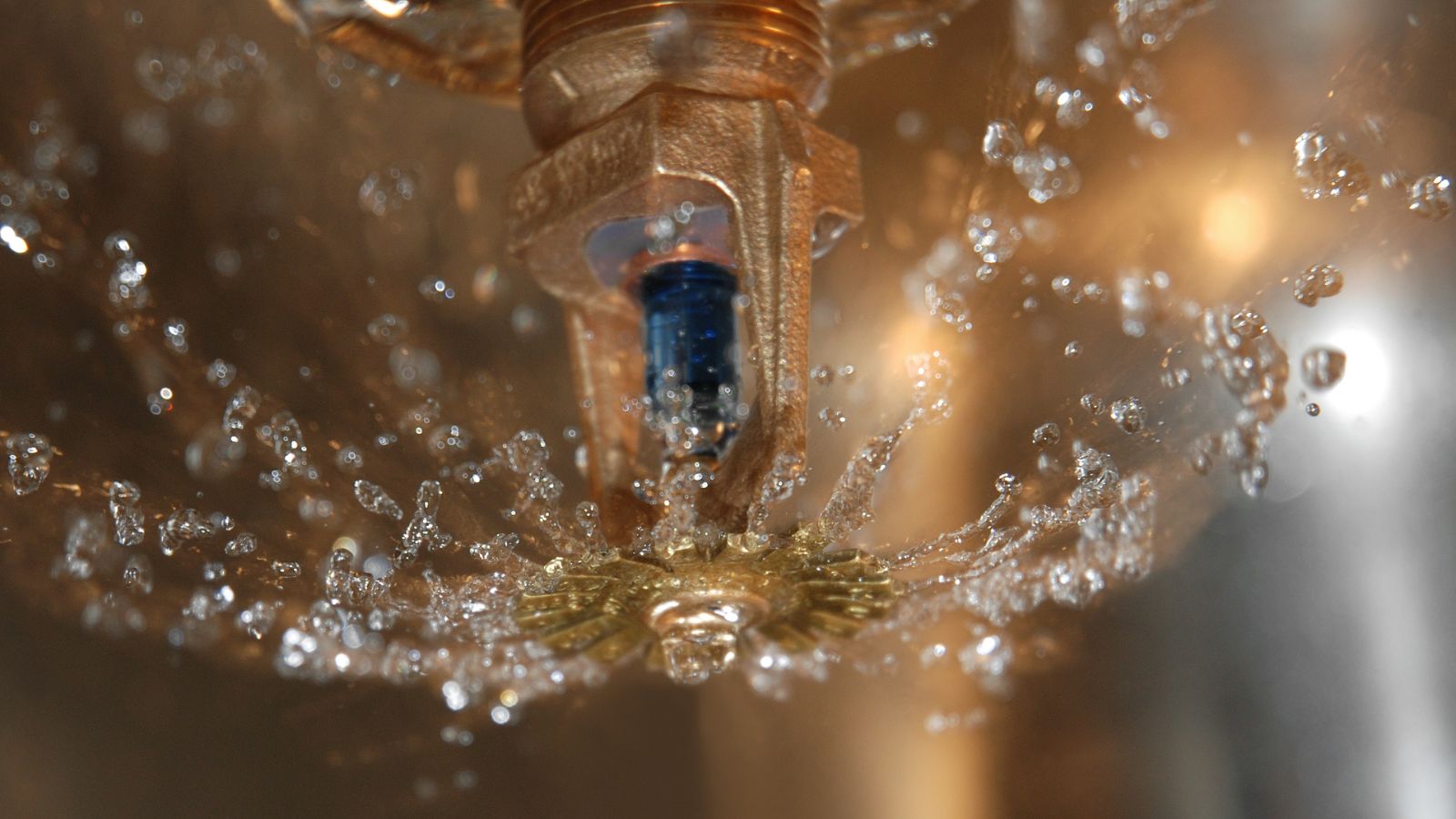 Sprinkler shooting water