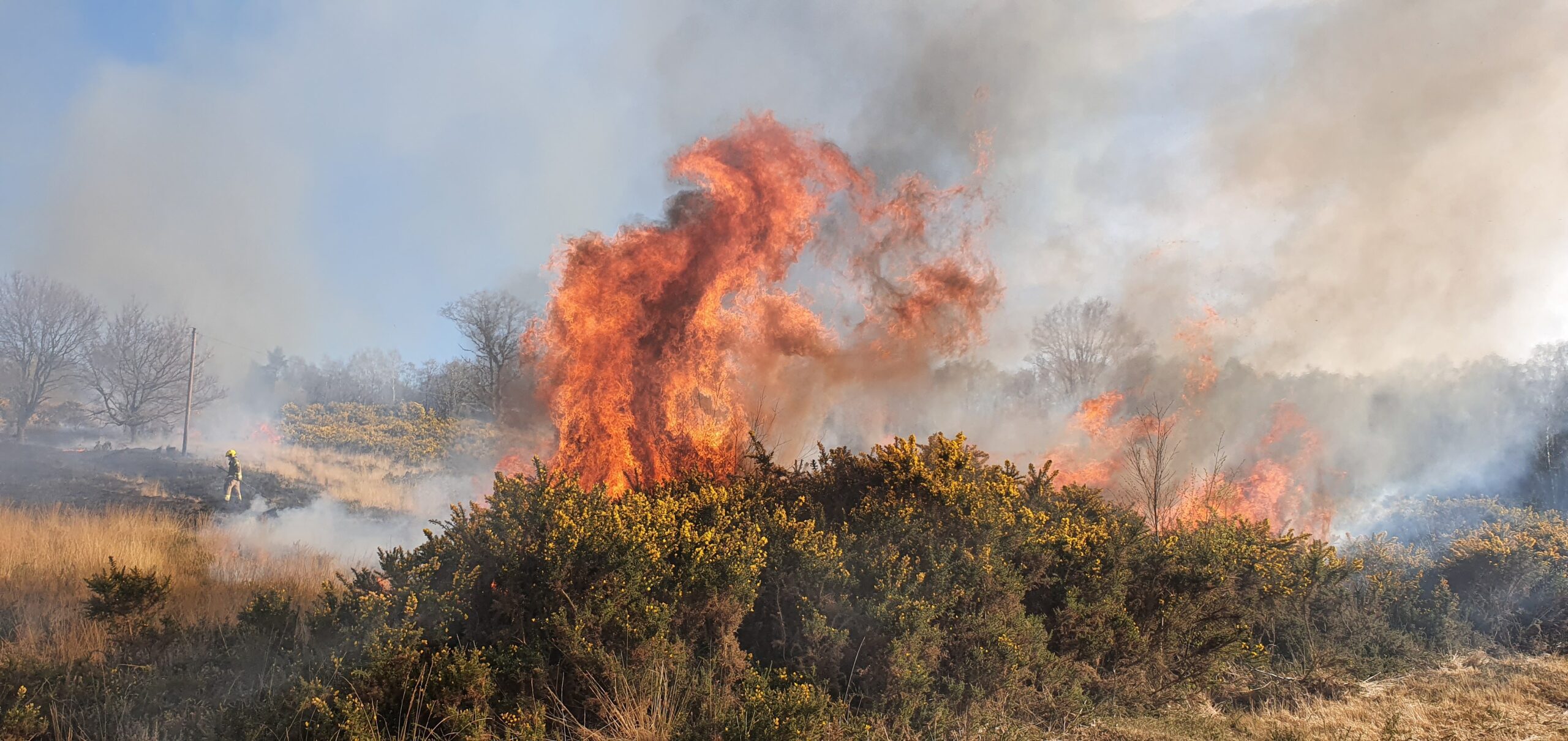 Wildfire Image. Courtesy of Hampshire and Isle of Wight Fire and Rescue Service - 2019